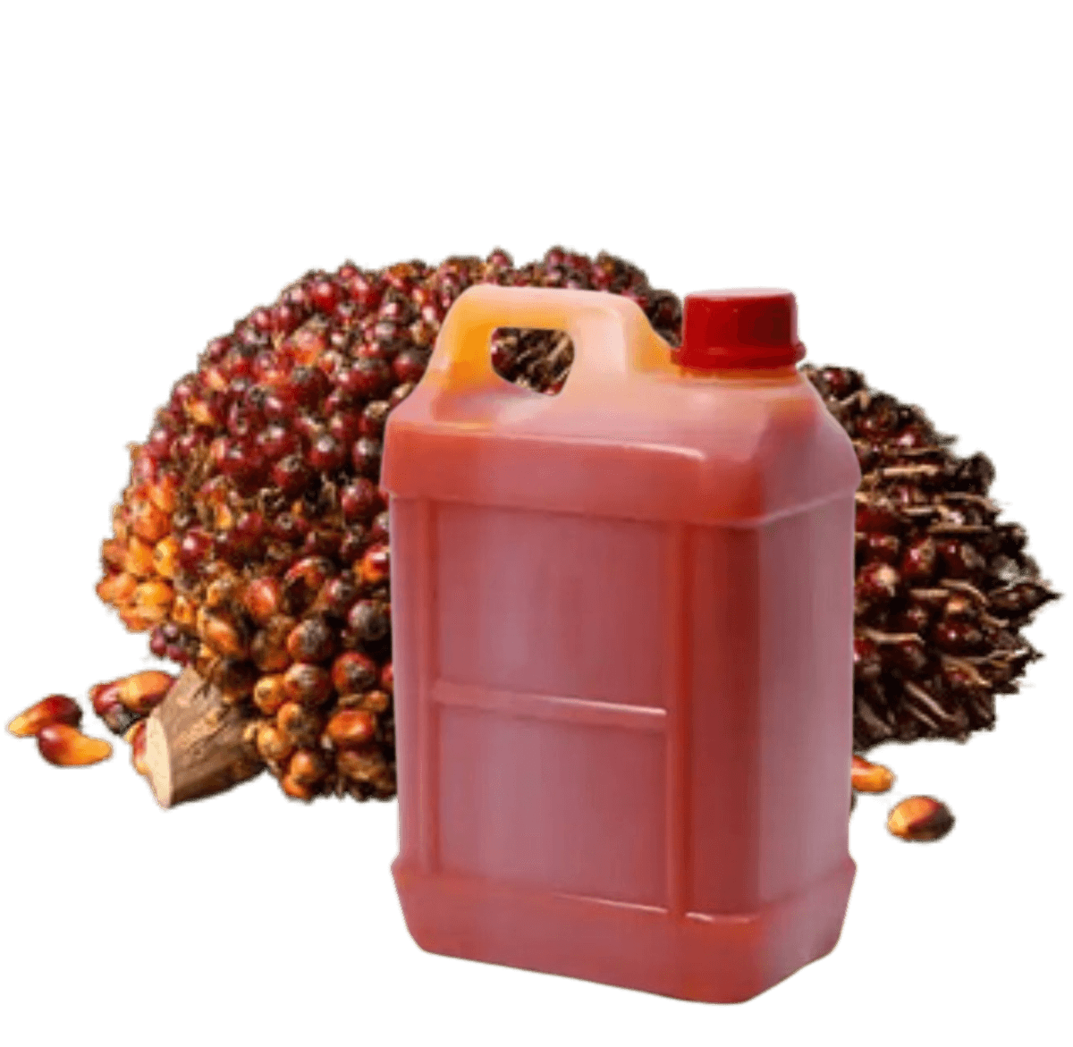 palm-oil