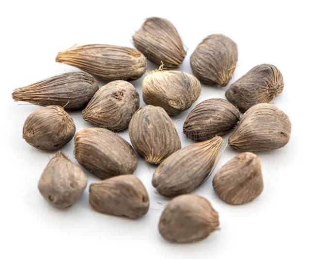 product-photo-0