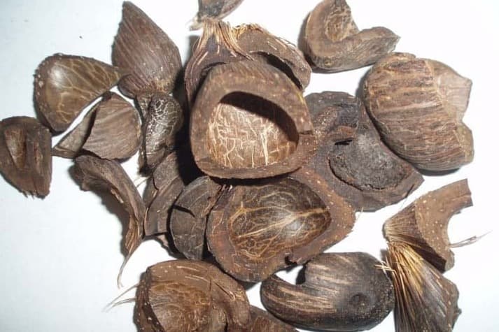 palm-kernel-shell