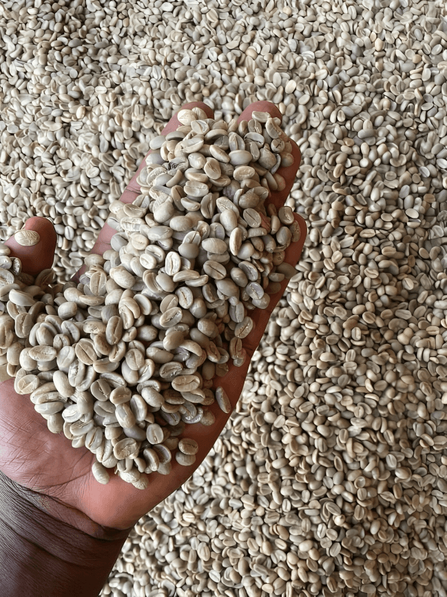 -coffee-beans