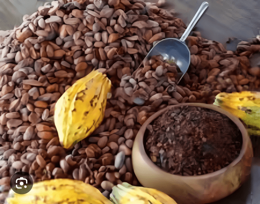 cocoa-beans