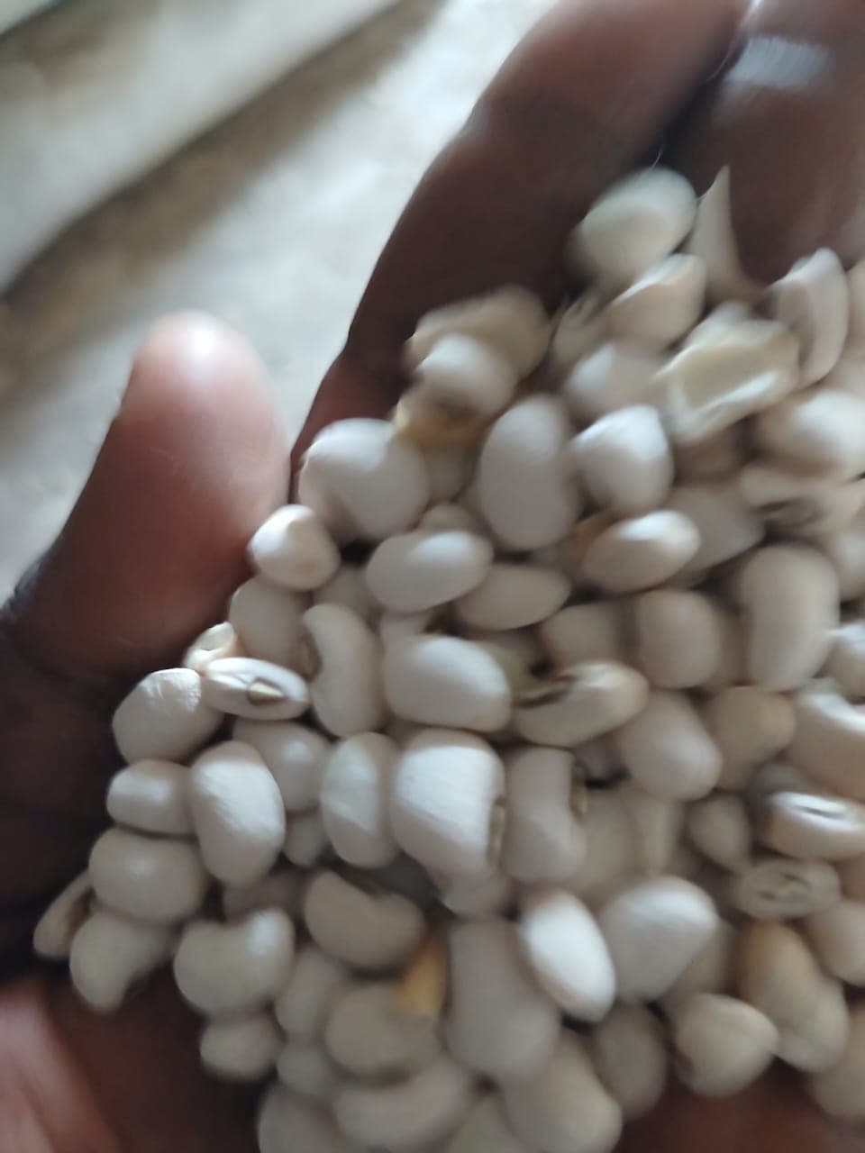 white-iron-beans
