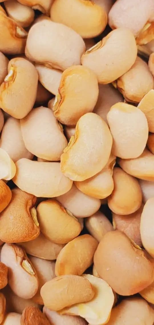 brown-iron-beans