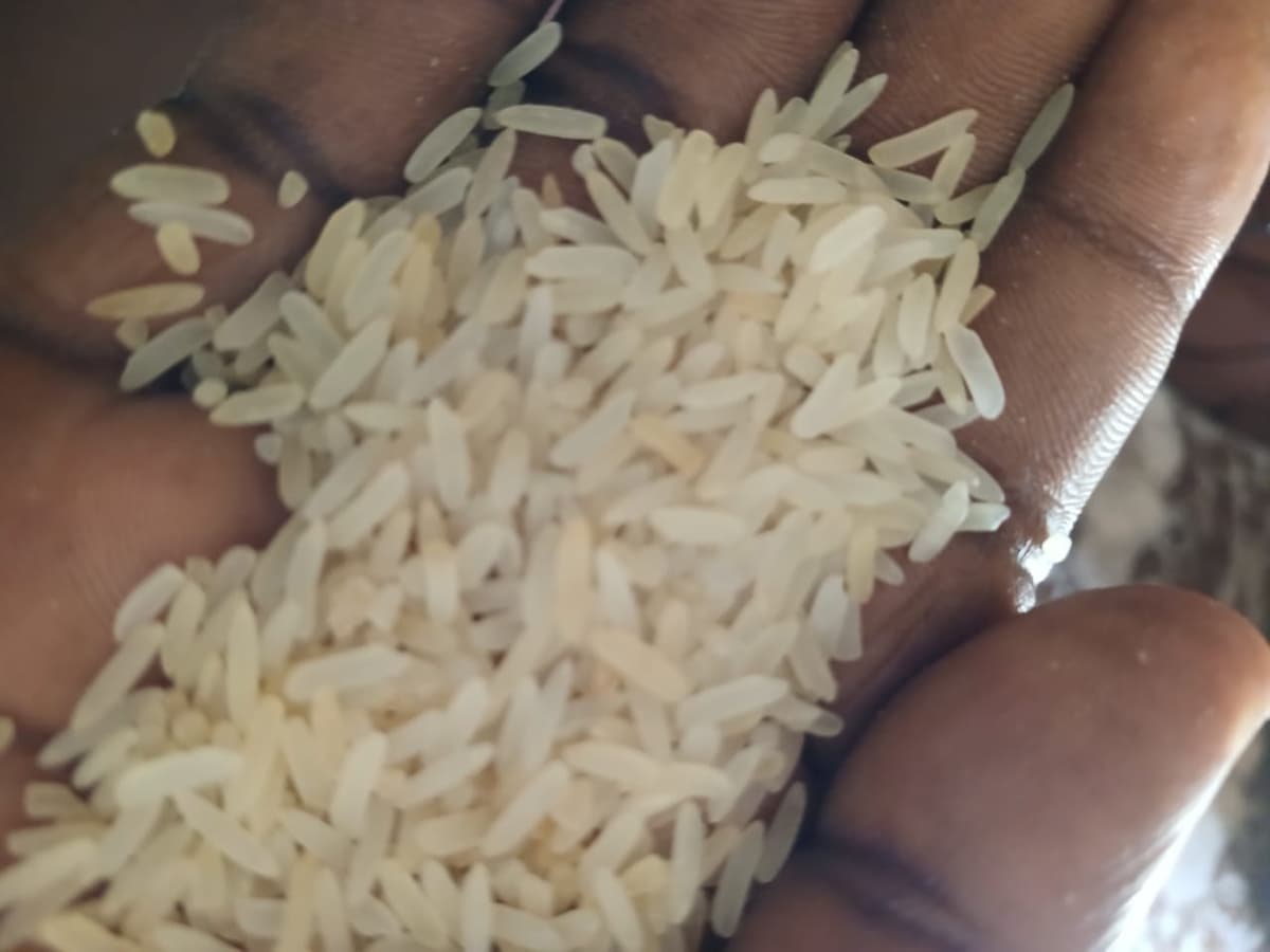 jemila-local-processed-rice